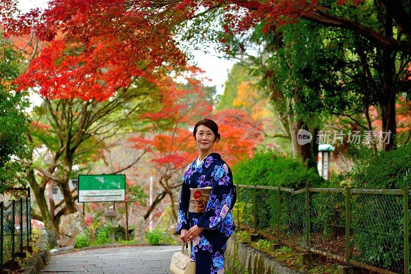 穿着和服的日本妇女在京都欣赏多彩的秋叶