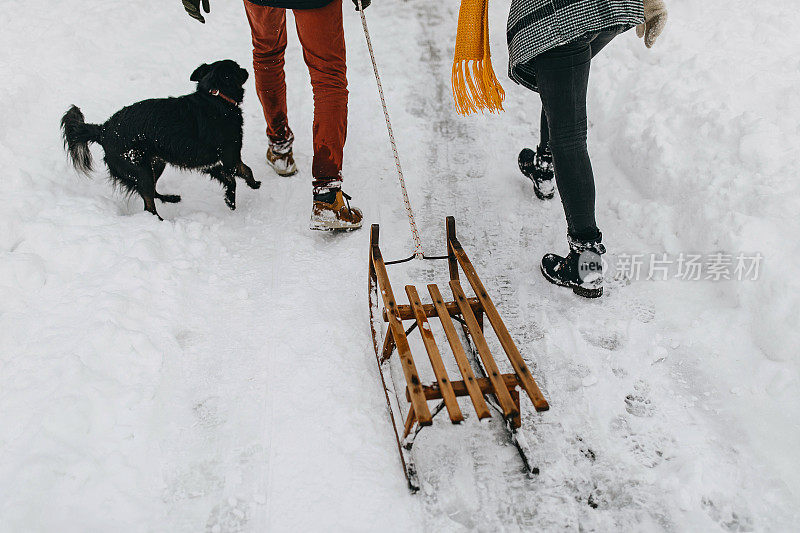 一对夫妇在雪中与狗玩耍