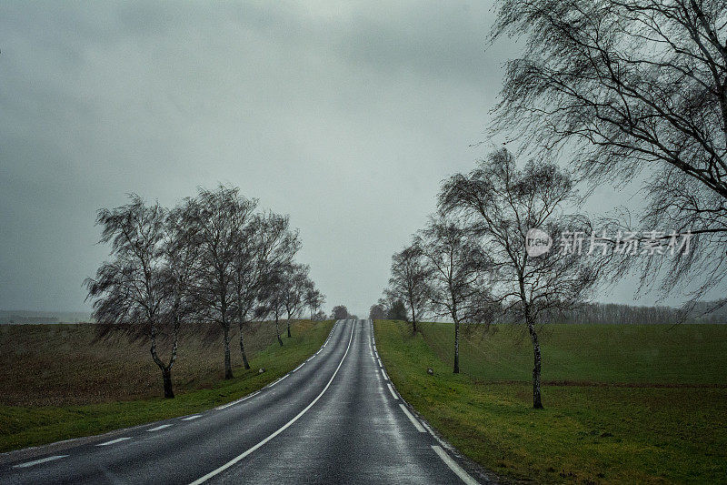 桦树巷汽车观点潮湿的道路neufchateau