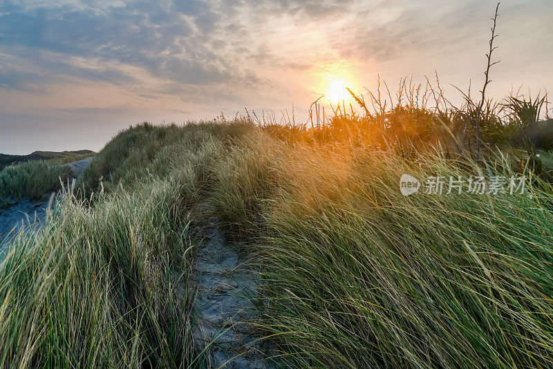 新西兰南岛尼尔森塔斯曼区普蓬加沃拉瑞基海滩的日出