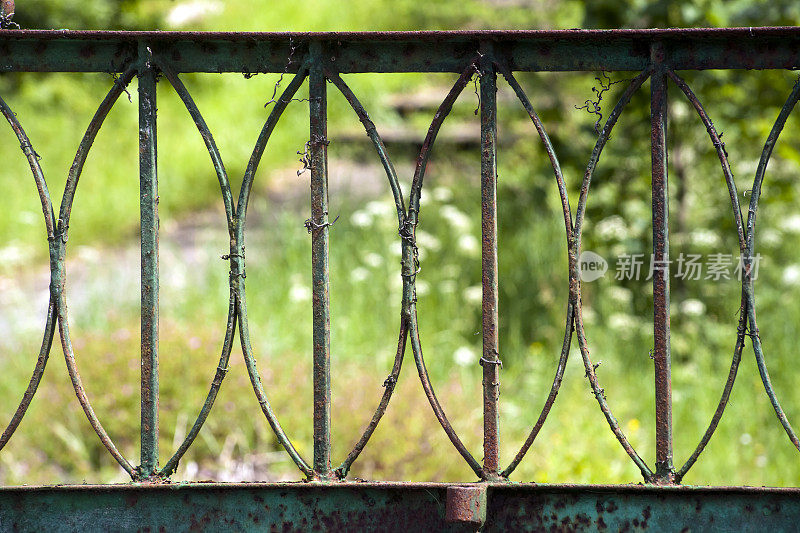 铁艺紧闭的花园围栏，绿色的背景。