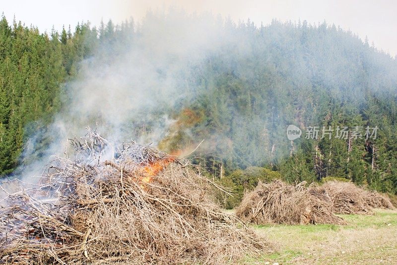 乡村场景中火被控制燃烧