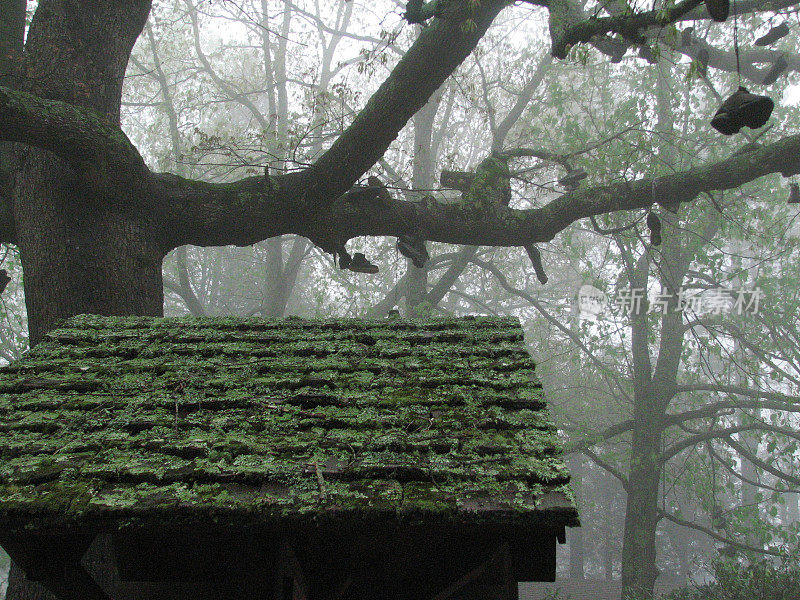 阿巴拉契亚步道上有苔藓的小屋，穿着登山鞋