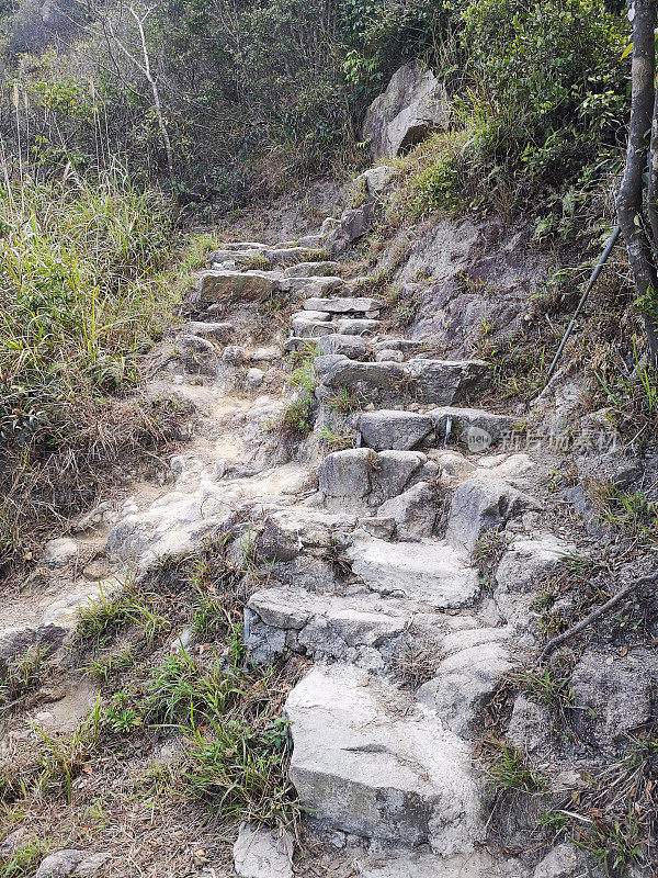 香港新界青山健行