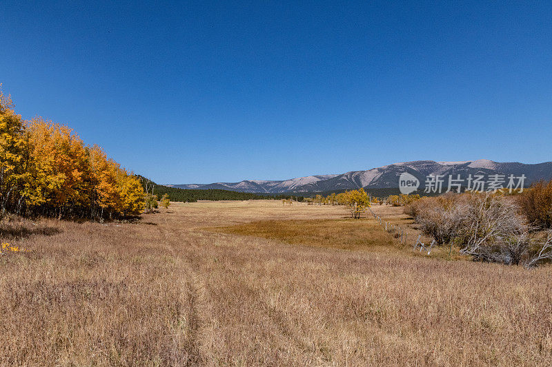 秋景非常乡村的蒙大拿牧场草原