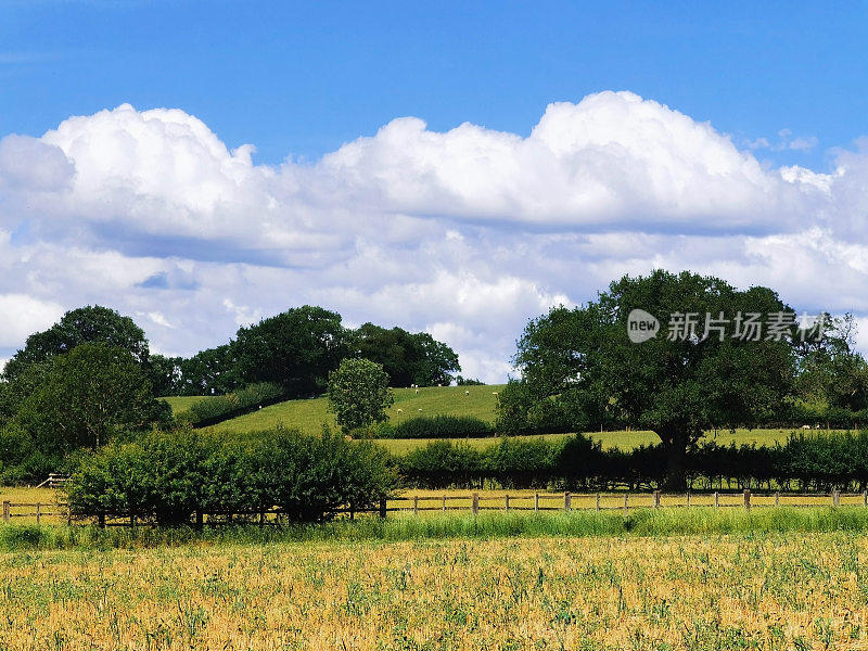 英国中部沃里克郡大田农场农业