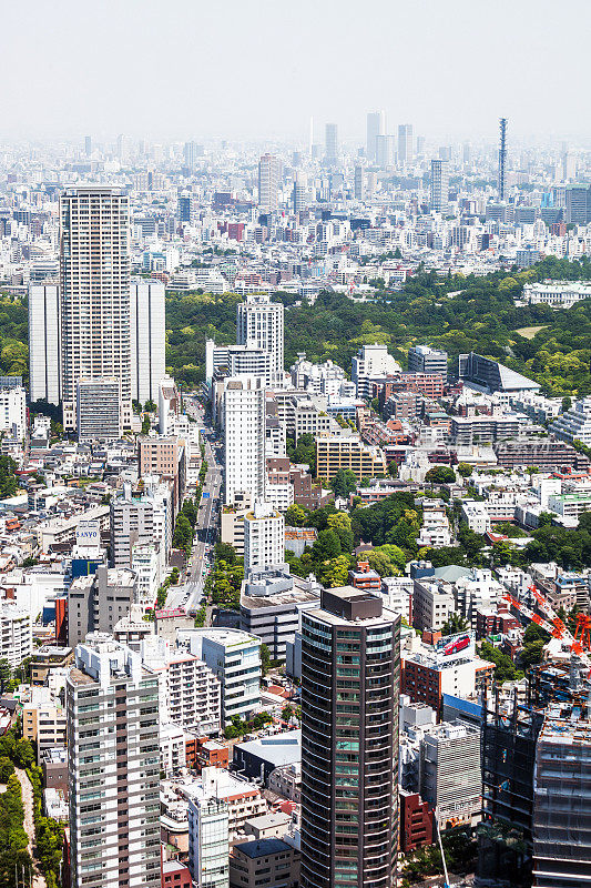 大城市景观——日本东京