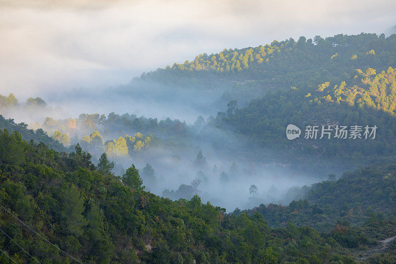 蒙特塞拉特向北的景色-山谷中的大雾天