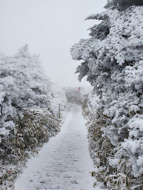 济州岛的第一场雪