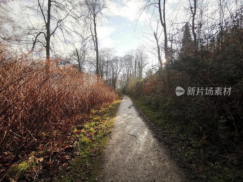 在Essen-Bredeney的Hügelpark进行冬季星期天散步，让大自然恢复活力