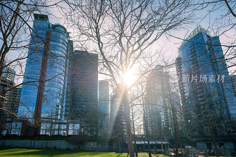 阳光照耀在温哥华市中心，城市景观与公园在前景