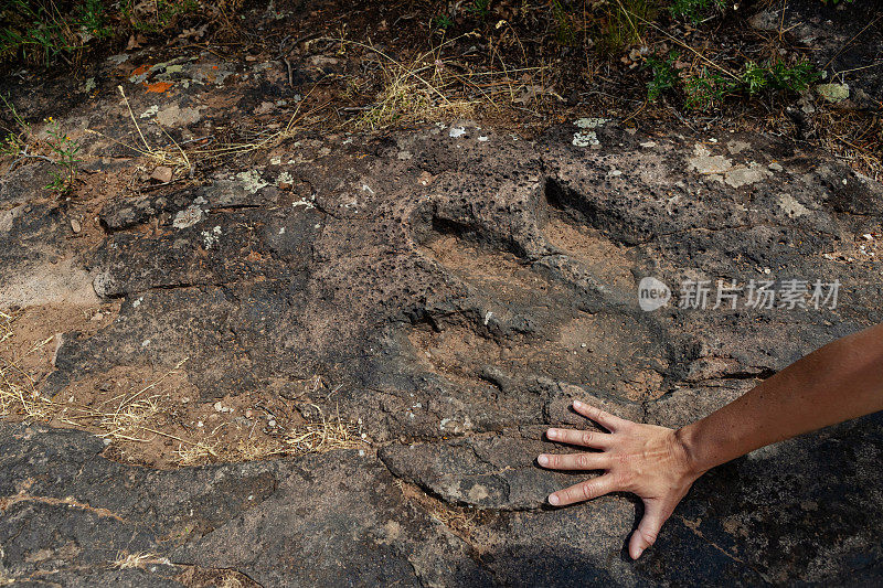 恐龙足迹:在美国西南部工作的古生物学家