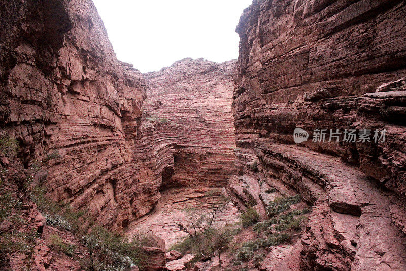 阿根廷北部