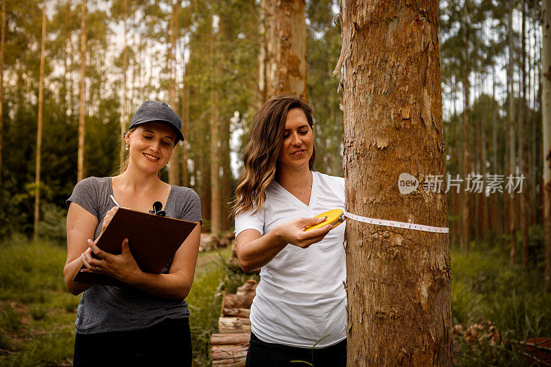 测量树木胸围直径的农学专业妇女