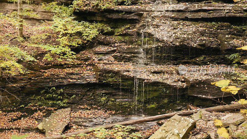 伦纳德·哈里森州立公园的宾夕法尼亚森林瀑布景观