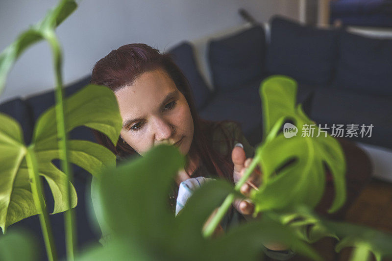 照顾巨型植物的女人