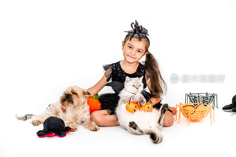 可爱的欧洲小女孩在万圣节服装与猫和狗有乐趣的万圣节庆祝活动。白底照片