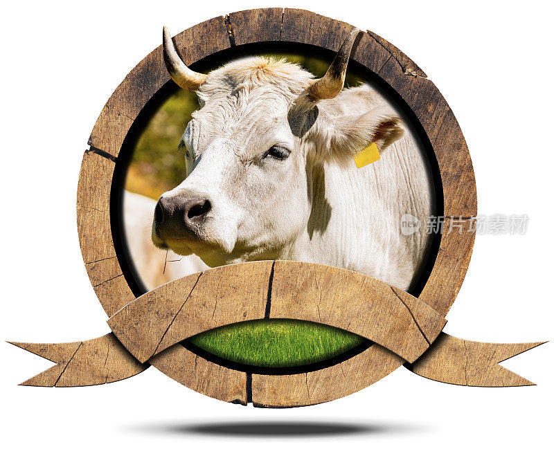 木制标志或图标与牛的头与角和复制空间