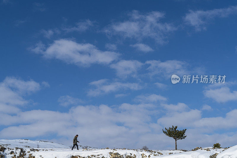 山顶上唯一的树，向树和天空背景走去的人