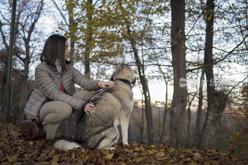 年轻漂亮的女孩和狗玩。在公园里和狗狗玩。特写肖像。西伯利亚雪橇犬