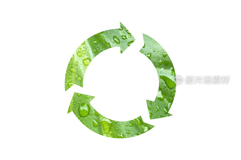 回收标志零浪费可持续资源