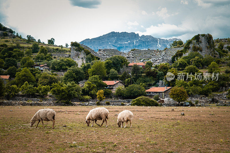 塞尔格古老的剧场和村庄，背景是白雪皑皑的博兹布伦山，前景是羊群