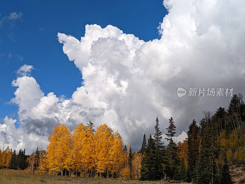 US-14的秋天色彩从雪松山到雪松破碎国家纪念碑和纳瓦霍湖犹他州