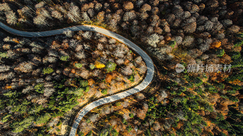 秋天的道路上，秋天的无人机翱翔，秋天的树木，汽车行驶在树木，五颜六色的秋天的树木，慢慢上升的无人机