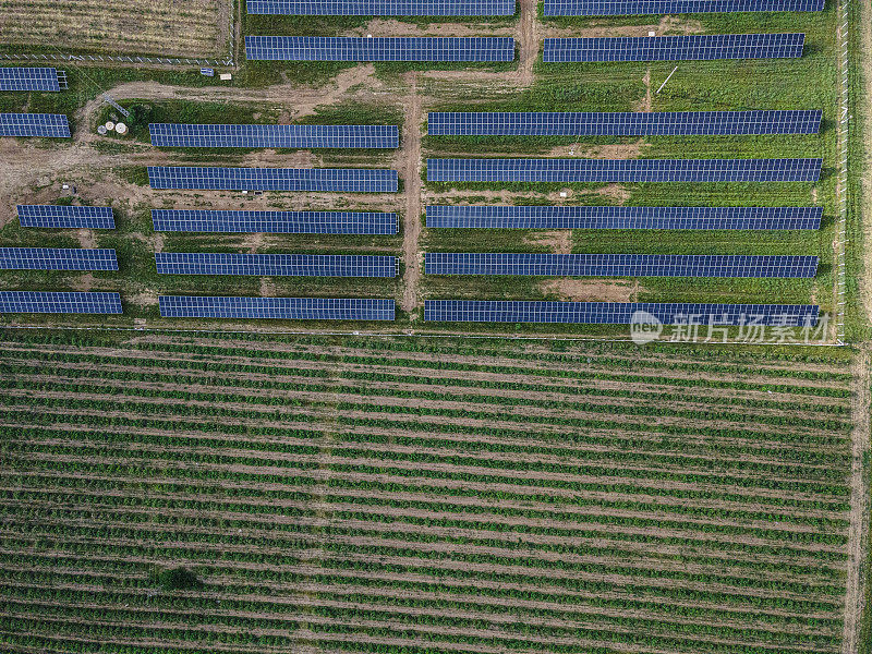 太阳能电池板和农田，鸟瞰图。碳中和和可再生能源工厂。