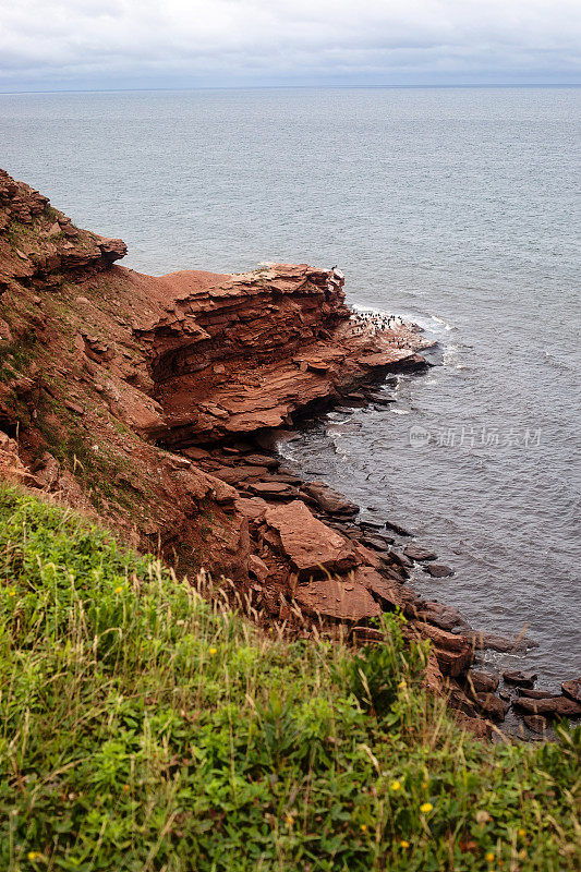 爱德华王子岛海湾海岸公园路