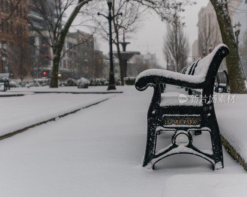 汉密尔顿，安大略-戈尔公园的椅子在冬天被雪覆盖
