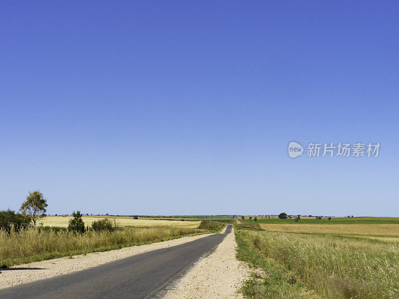 小麦之乡的狭窄道路