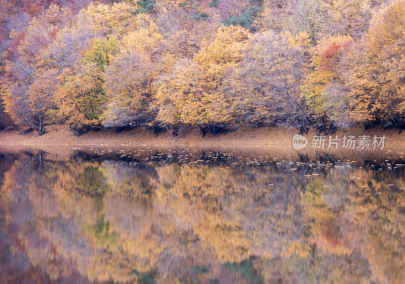 美丽的秋天森林小屋和Boraboy湖的倒影