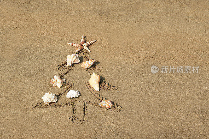 在阳光明媚的海滩上用海贝壳装饰的棍子画在沙子上的圣诞树的图像，圆锥形贝壳的圣诞星，高架视图，复制空间，南半球的圣诞节概念