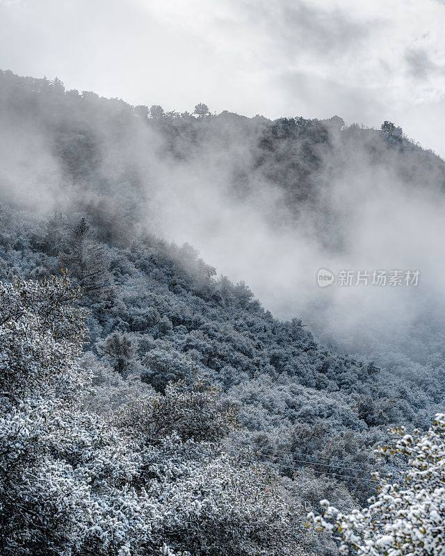 垂直拍摄的积雪覆盖的山坡隐藏在雾中