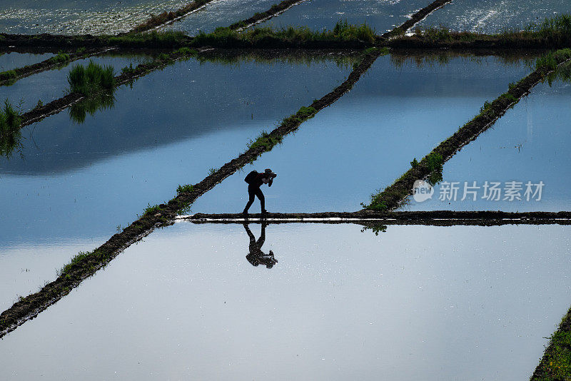 摄影师走在田地之间，捕捉Çorum地区Osmancık水田的灌溉景象。