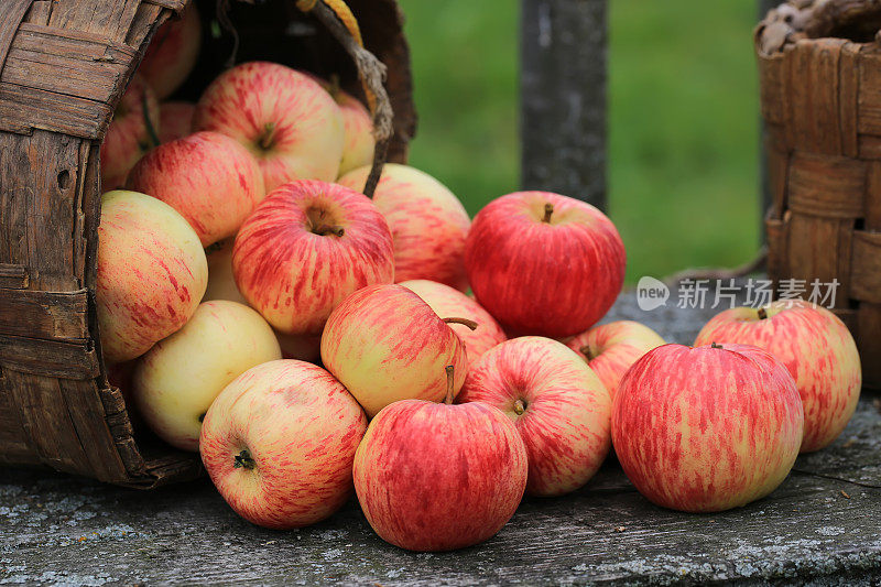 柳条篮子里的苹果复古复古的乡村风格