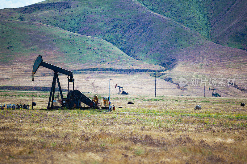 加州中部的石油抽取