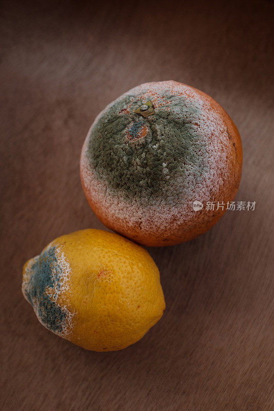 长着绿色霉菌的柑橘类水果。