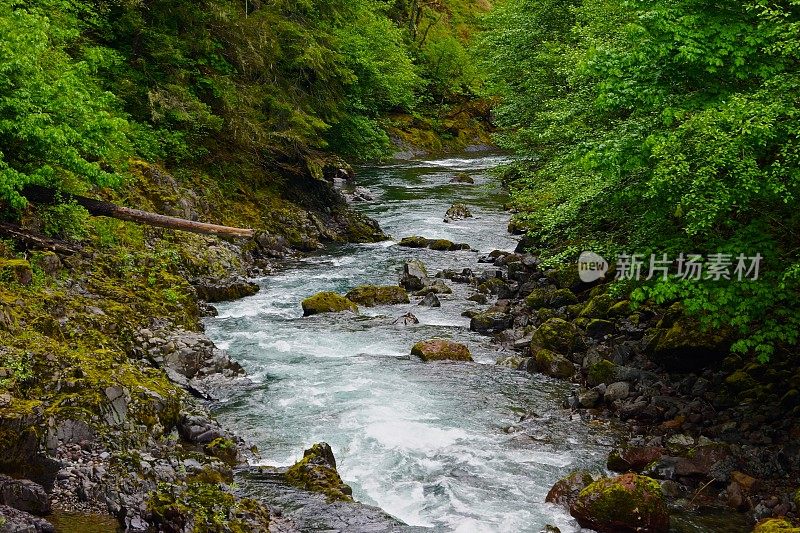 北福克威拉米特峡谷