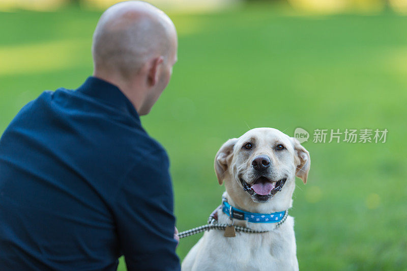 一名中年男子在阳光明媚的日子里在公园遛狗