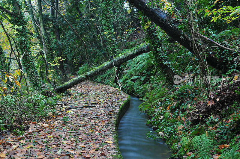 Waterworks谷,新泽西。