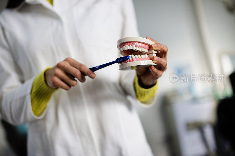 牙医的手展示如何正确地刷牙齿模型颌
