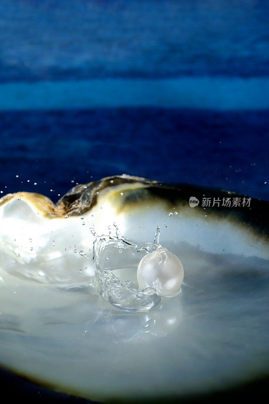珍珠海贝