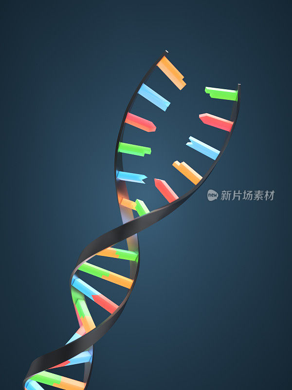 DNA重组或拆分XL+