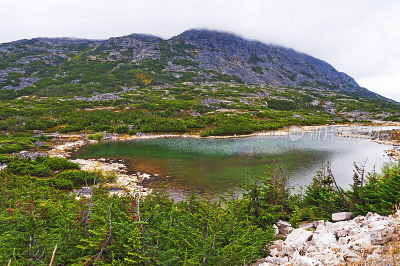 峰湖白口