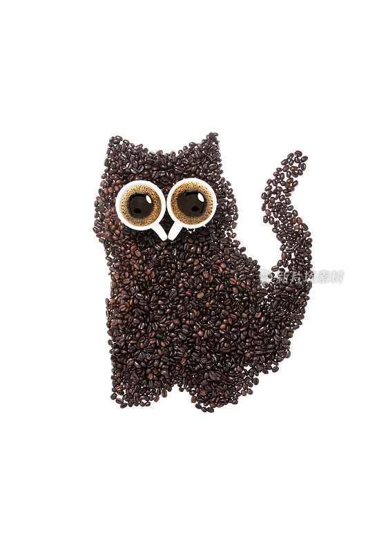 咖啡猫