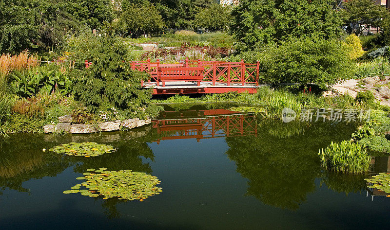 可爱的池塘和桥风景
