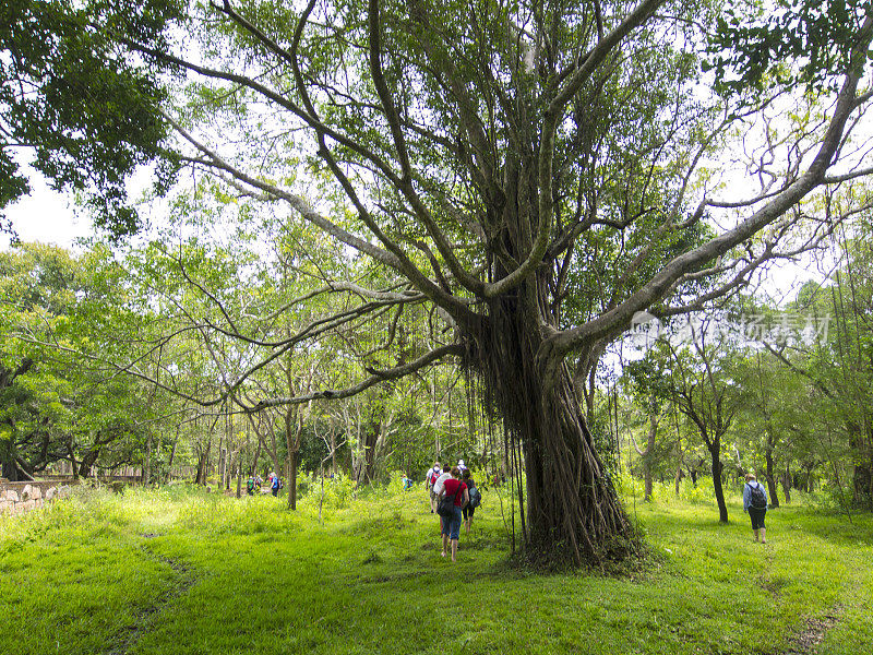 走在Anuradhapura