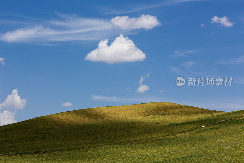 绿野上的云影与飞机(飞机)